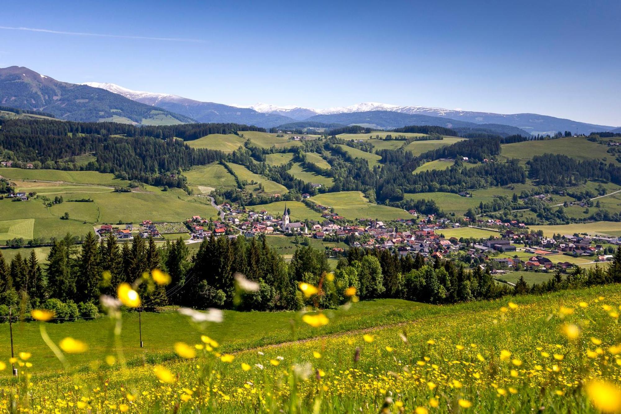 Naturpark Chalets Lambrecht By Alps Resorts Sankt Lambrecht Eksteriør billede