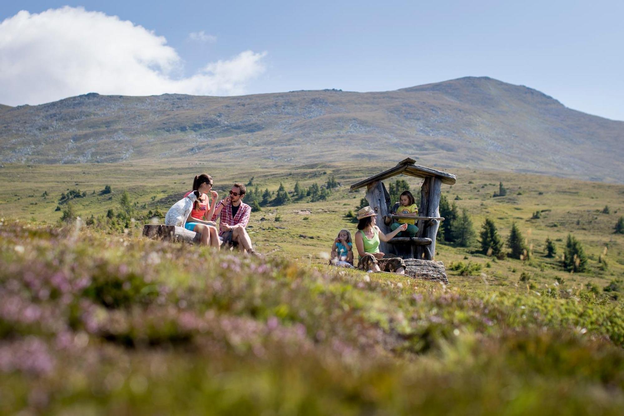 Naturpark Chalets Lambrecht By Alps Resorts Sankt Lambrecht Eksteriør billede